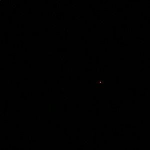 Meet your Posher, Yanina